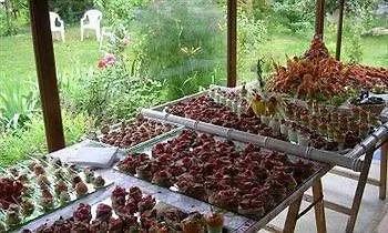 Logis La Maison Bonnet Hotel 2*
